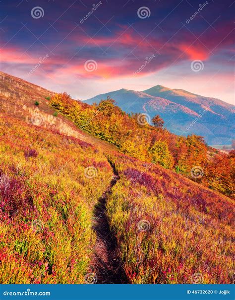 Colorful Autumn Sunrise in Mountains Stock Photo - Image of alpine ...