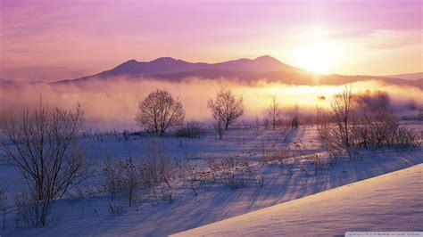 Winter Mist Desktop Wallpapers - Wallpaper Cave