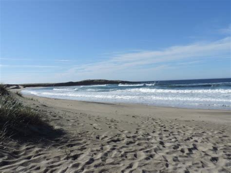 Cape Ray Beach, J.T. Cheeseman Provincial Park, Newfoundland - Picture ...