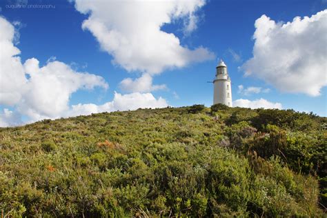 Bruny Island Lighthouse | Bruny island, Island lighthouse, Lighthouse