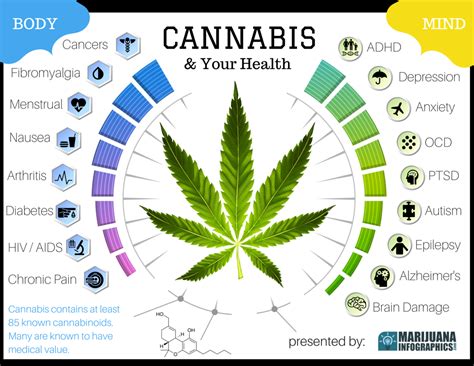 Cannabis Infographics on Behance