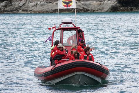 Whale Watching Guidelines - Campbell River Whale Watching and Adventure Tours