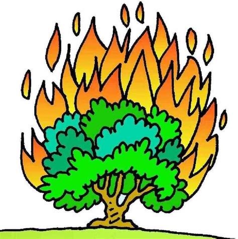 Burning Bush Clip Art drawing free image download