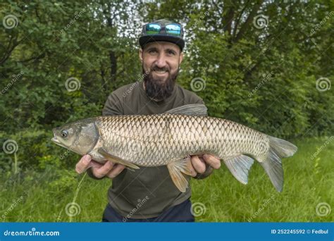 The White Amur Or Grass Carp. Royalty-Free Stock Image | CartoonDealer ...