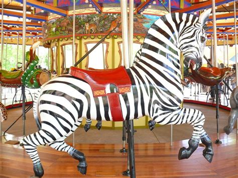 Playful Carousel Zebra