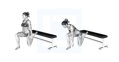 Lever Seated Hip Adduction - Guide, Benefits, and Form