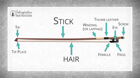 Down Bow vs Up Bow: What's the Difference? Does it Matter ...