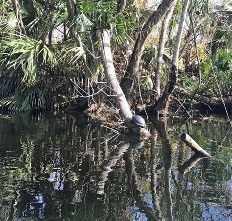 Kelly Park/Rock Springs: Beautiful park, cool swimming hole, shaded ...