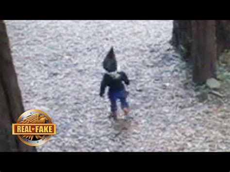 Real Life Gnome Sighting - real or fake? - YouTube