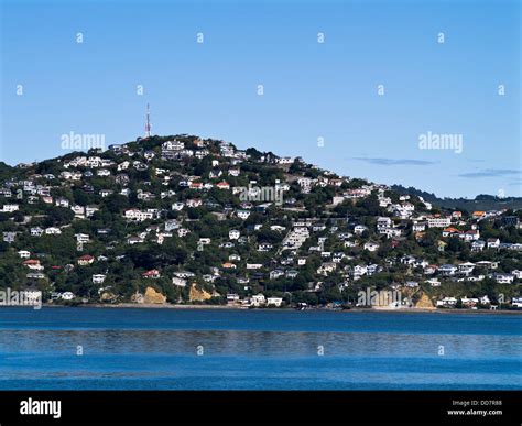 dh Mount Victoria WELLINGTON NEW ZEALAND Roseneath suburb hillside Stock Photo: 59793560 - Alamy