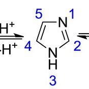 Structures of some biologically active imidazole compounds.⁴ | Download Scientific Diagram