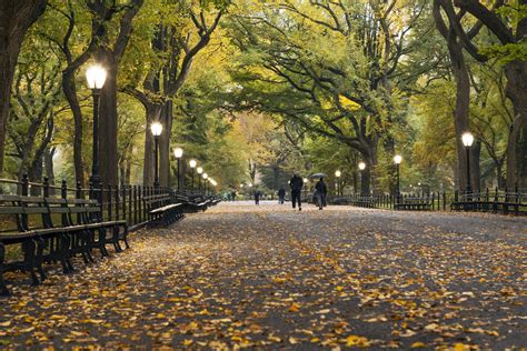 15 Best Fall Foliage Tours in NYC | New York Harbor Tours