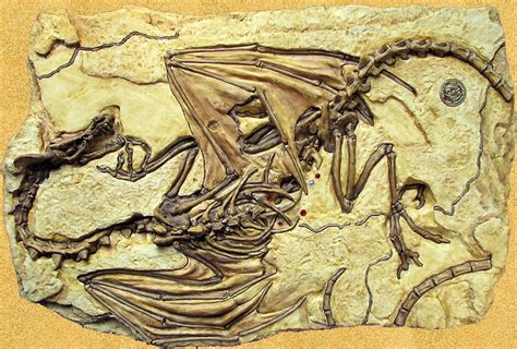 Dragon Skeleton Found in Romania | was reading a post here on Orble about a supposed Chinese ...