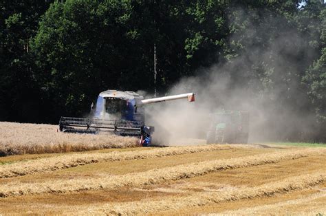 Harvest,field,agriculture,field crops,harvested - free image from needpix.com