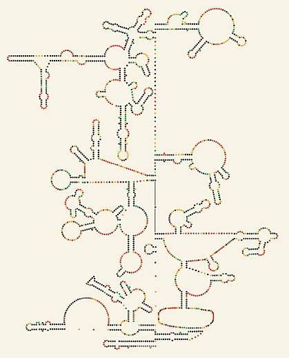 Scientists Uncover Structure of HIV Genome | National Institutes of ...