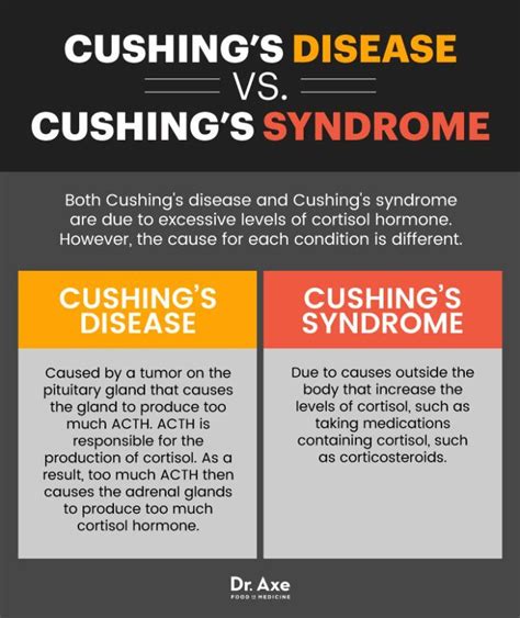 Stress Can Lead to This Weight-Gaining Disease | Cushings syndrome, Cushing disease, Endocrine ...