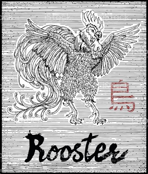 Engraved Illustration Of Zodiac Symbol With Rooster And Lettering Stock ...