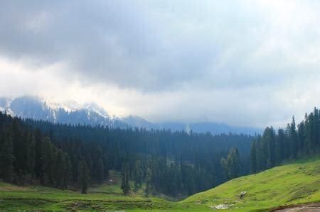 Gulmarg Meadows | Gulmarg - What to Expect | Timings | Tips - Trip Ideas by MakeMyTrip