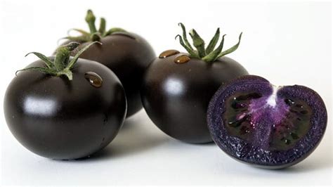 હવે માર્કેટમાં વેચાશે Purple Tomato, જાણો તેના ફાયદા - Gujarati News ...