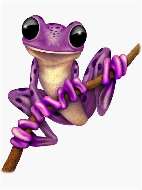 Purple tree frog species - securelopers