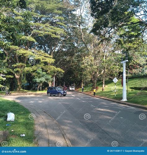 Road To University Peradeniya Galaha Juntion Stock Image - Image of estate, road: 261143817