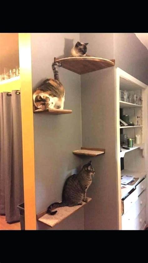 20+ Cat Wall Shelves Ikea – The Urban Decor