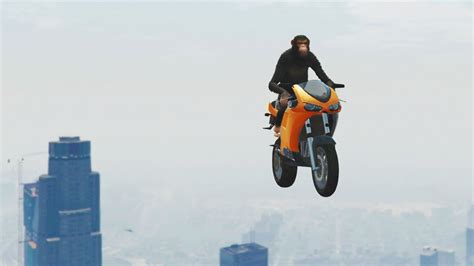 GTA 5 MODS - MODDED ANIMAL STUNTS (GTA 5 HIT A STUNT #43) - YouTube