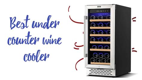 Top 7 Best Under Counter Wine Cooler - Real Food Enthusiast