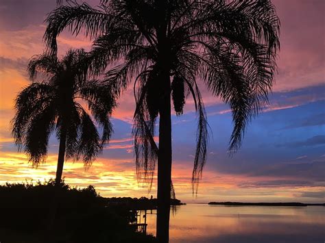 1366x768px | free download | HD wallpaper: silhouette of coconut palm trees, florida, vacation ...