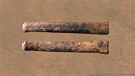 AFRICA is home to what may be the world’s oldest counting tools. The Ishango bone from the ...