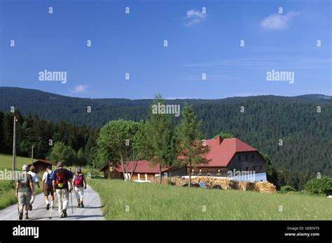 Hiking, Bayerischer Wald, Bayern, Deutschland Stock Photo - Alamy