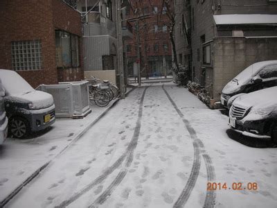 Tokyo snowfall - registered alien