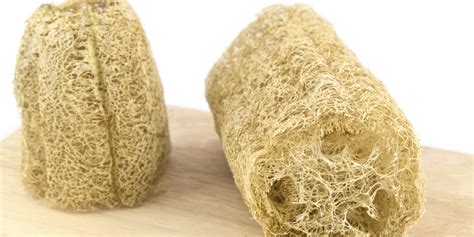 You Should Probably Stop Using A Loofah In The Shower. Sorry. | HuffPost