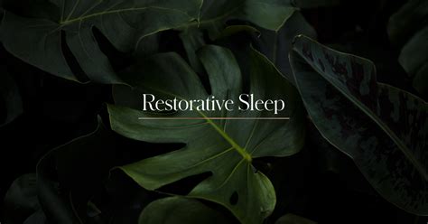 Restorative Sleep | Restorative Technology | Bryte