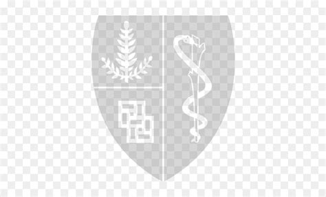 Stanford Medicine Logo White, HD Png Download - vhv