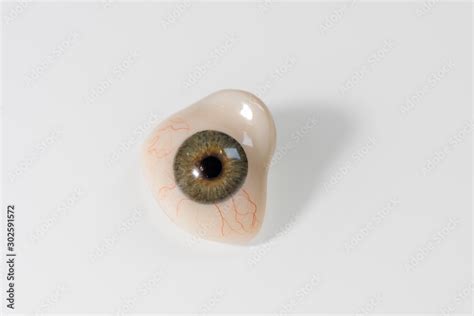 Glass eye prosthetic or Ocular prosthesis with shadow on white Stock ...