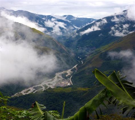 Discovery of Yungas