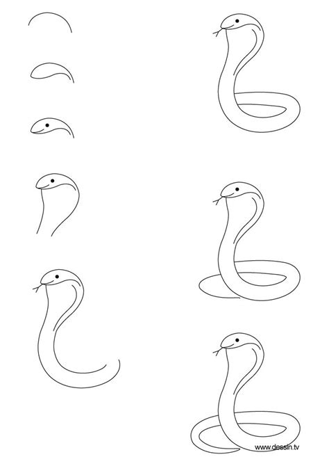 Pin by Julia Moreno on Drawings | Snake drawing, Animal drawings, Easy drawings