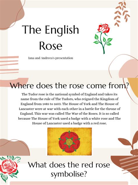 Rose-The Symbol of England | PDF