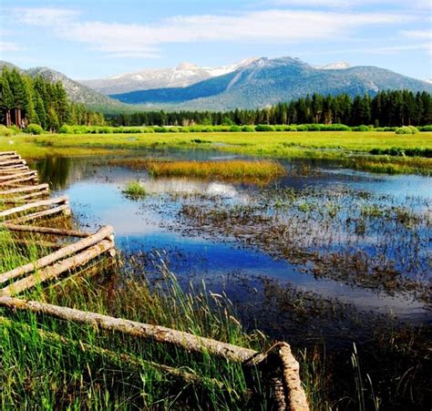 Mountain Meadow , Sierra Nevada Mountains | This meadow was … | Flickr