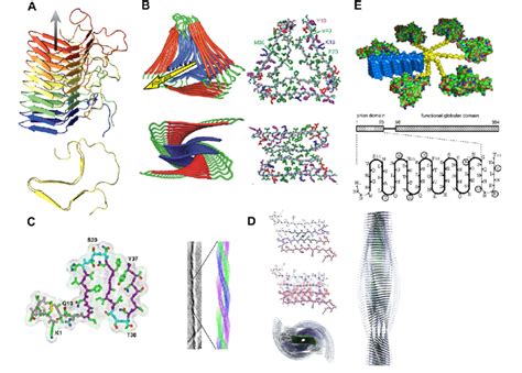 Molecular structure models of amyloid fibrils aided by packing... | Download Scientific Diagram