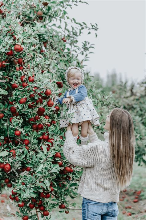 Orchard photo orchard photo shoot Photography apples orchard | COOL IDEAS | Apple orchard ...