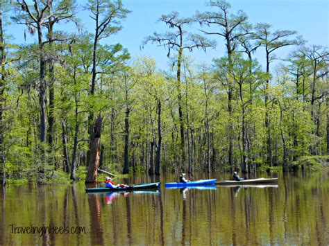 Beaumont, Texas Paddling the Neches River