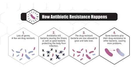 Antibiotic Resistance in Bacteria - Testing.com