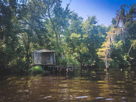 Jean Lafitte Swamp Tours • Journey Along Things To Do In Louisiana ~ Journey Along