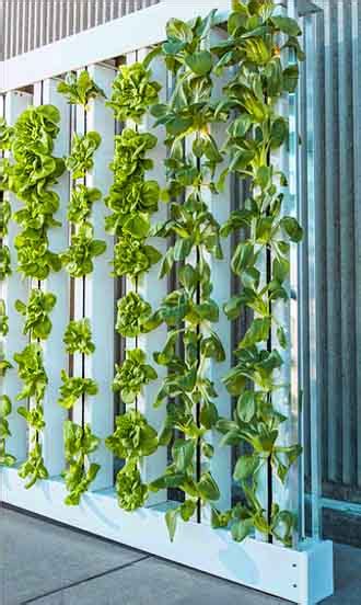 11 Vertical Hydroponics Systems And Designs For Super Efficiency Freaks!