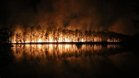 Pine Barrens forest fire fully contained after burning over 800 acres ...