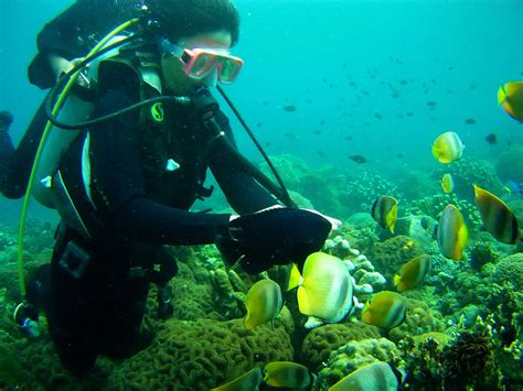 Scuba Diving in the Philippines - 6 Top Spots - 3D Diving