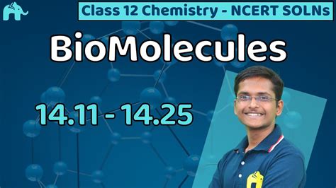 BioMolecules Class 12 Chemistry | Chapter 14 NCERT Solutions Questions 11-25 CBSE JEE NEET MCQs ...