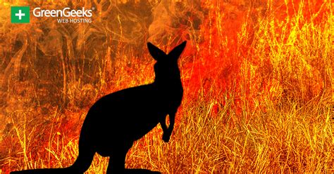 Almost 3 Billion Animals Were Affected By Australian Bushfires